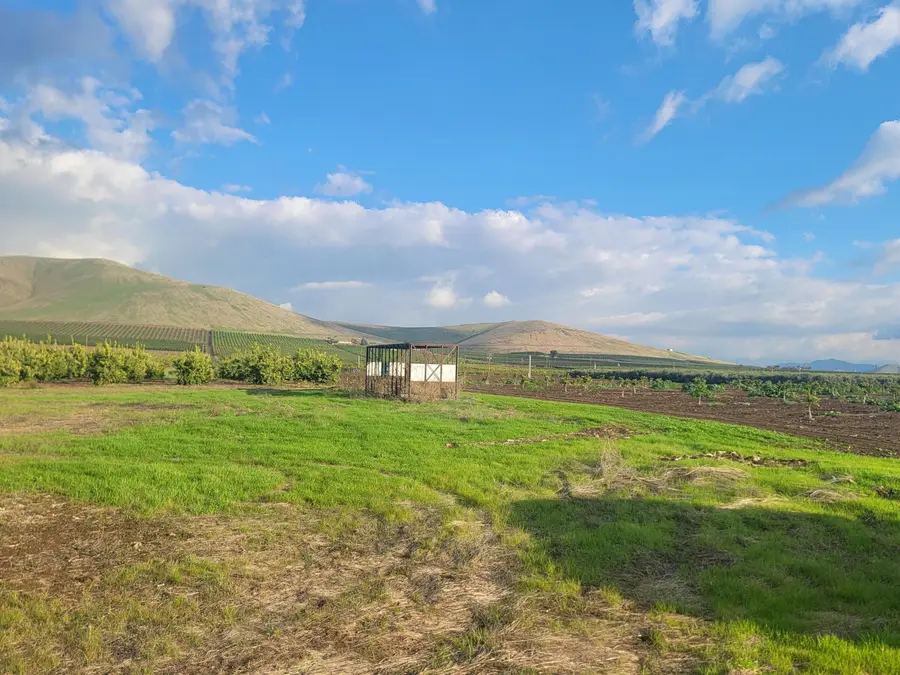 20605 Road 252 Avenue, Strathmore, CA 93267 - #3