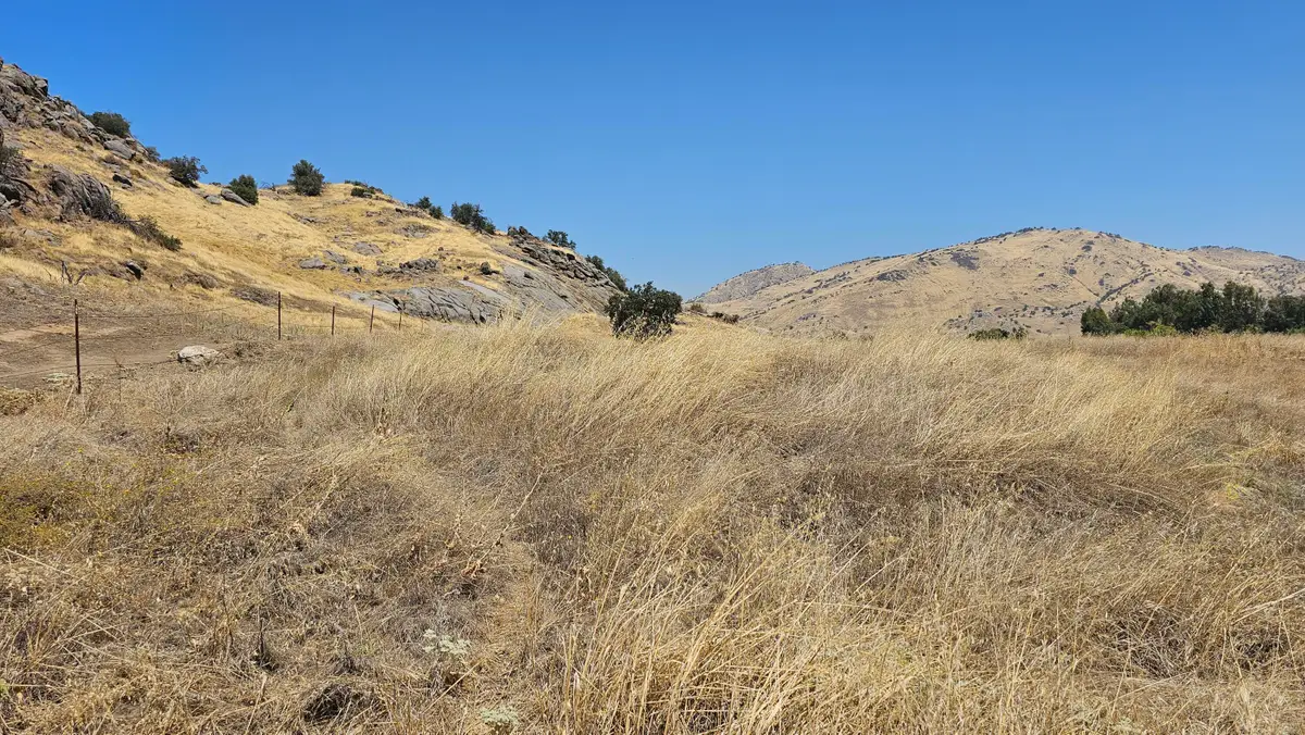 37902 Road 200, Woodlake, CA 93286 - #1