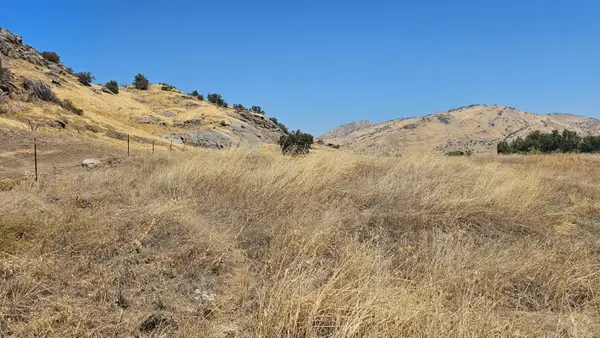 37902 Road 200, Woodlake, CA 93286