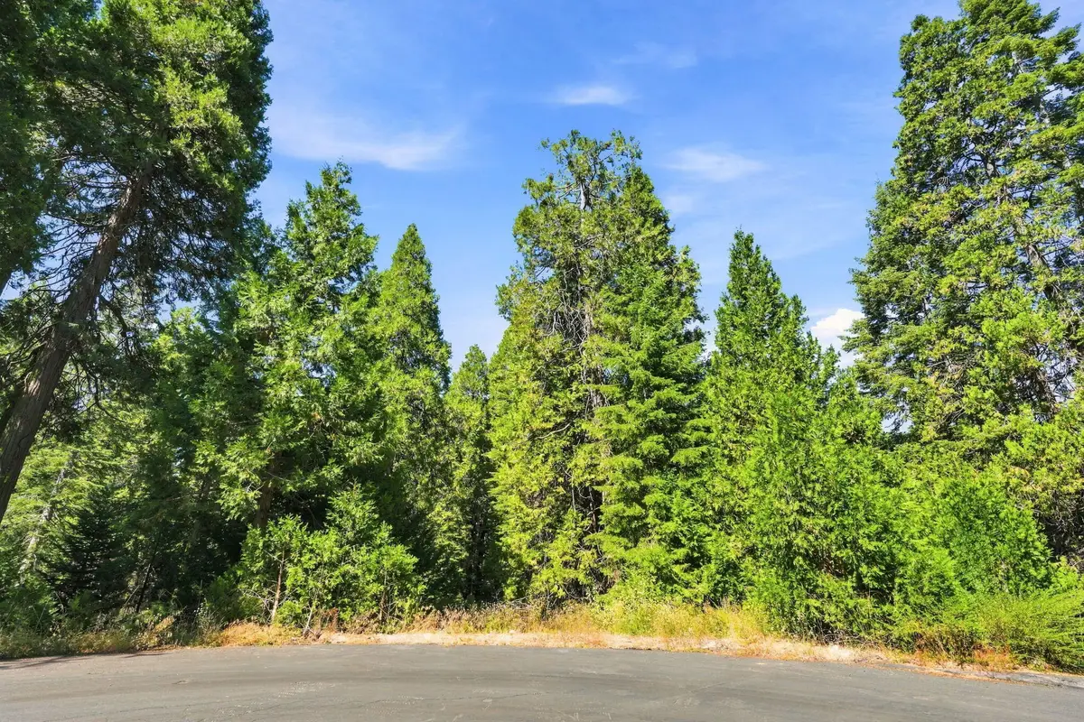 39730 Foxglove Lane, Shaver Lake, CA 93664 - #1