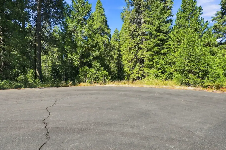 39730 Foxglove Lane, Shaver Lake, CA 93664 - #2