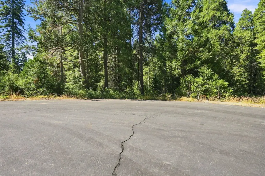 39730 Foxglove Lane, Shaver Lake, CA 93664 - #3