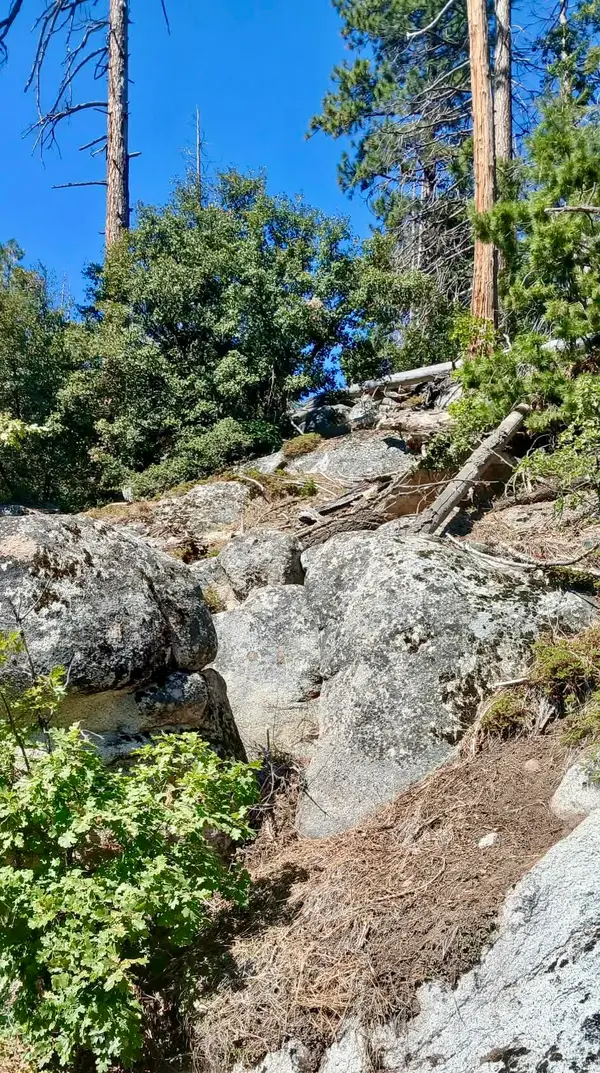 67 & 68 Mountain-aire, Springville, CA 93265