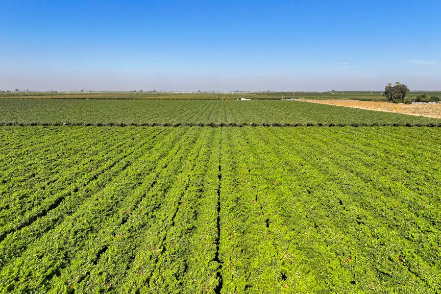 0 Road 88, Dinuba, CA 93618 - #3