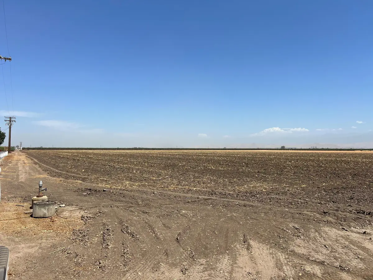 Ave 200, Strathmore, CA 93267 - #1
