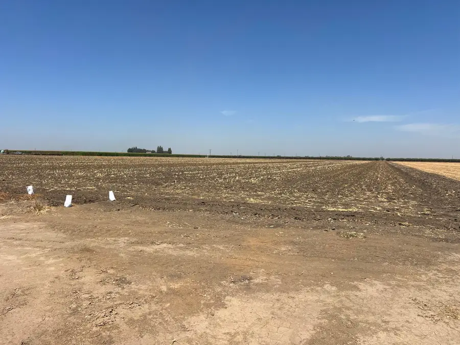 Ave 200, Strathmore, CA 93267 - #3