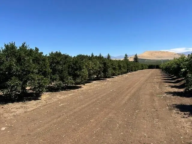 Plano Road, Porterville, CA 93257 - #1