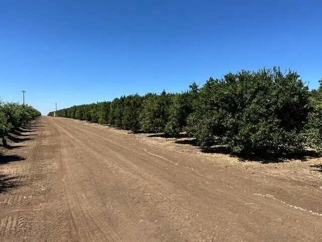Plano Road, Porterville, CA 93257 - #2