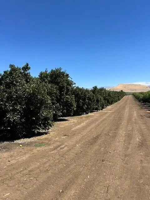 Plano Road, Porterville, CA 93257 - #3