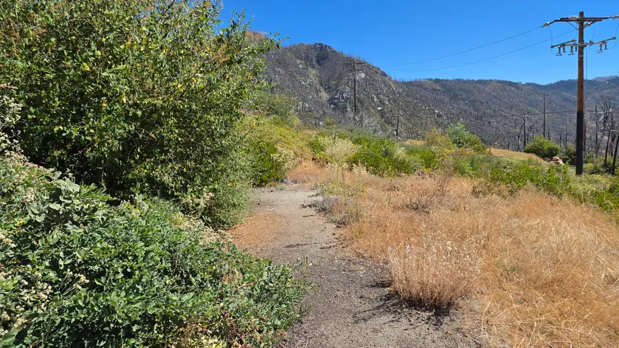 53037 Pine View Drive, Springville, CA 93265 - #2