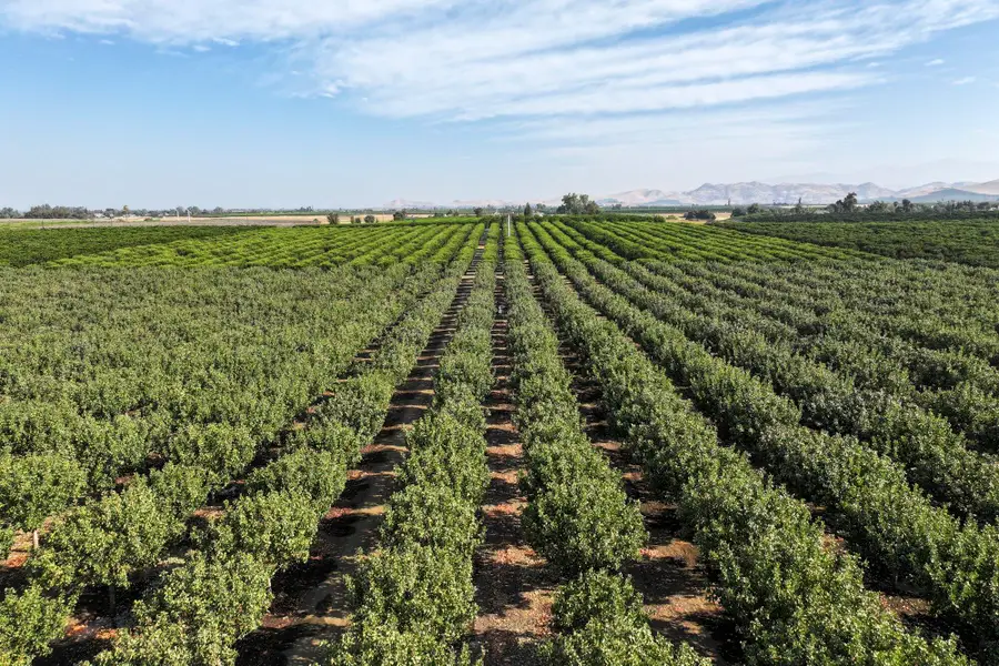 0 Rd 248, Terra Bella, CA 93270 - #3