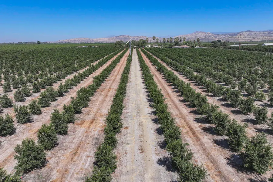 40903 Road 144, Orosi, CA 93647 - #3