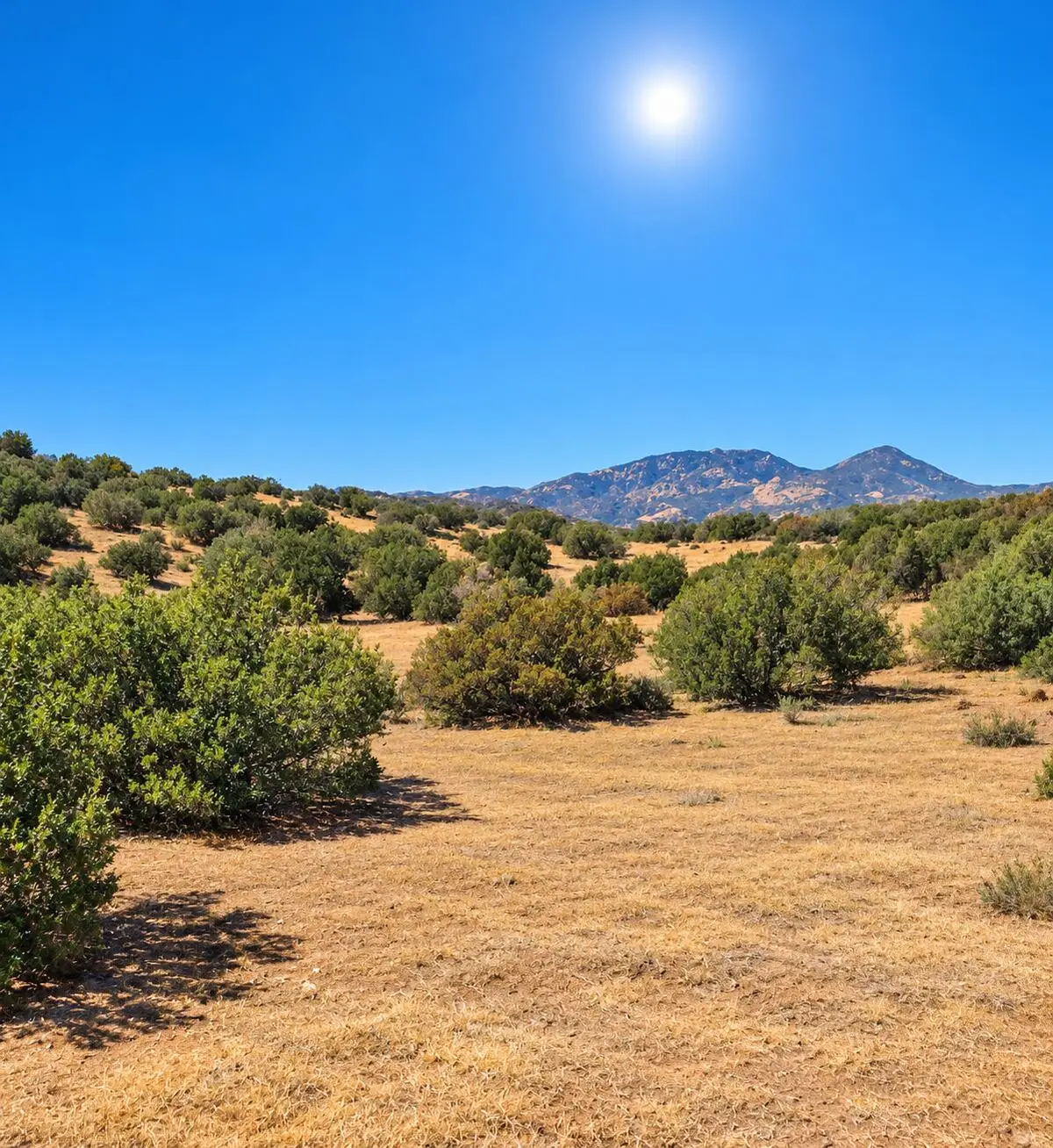 Juniper Way, Tehachapi, CA 93561 - #1