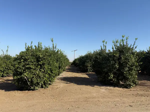 25389 Ave 120, Porterville, CA 93257