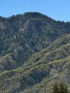 52617 Redwood Drive, Springville, CA 93265 - #2