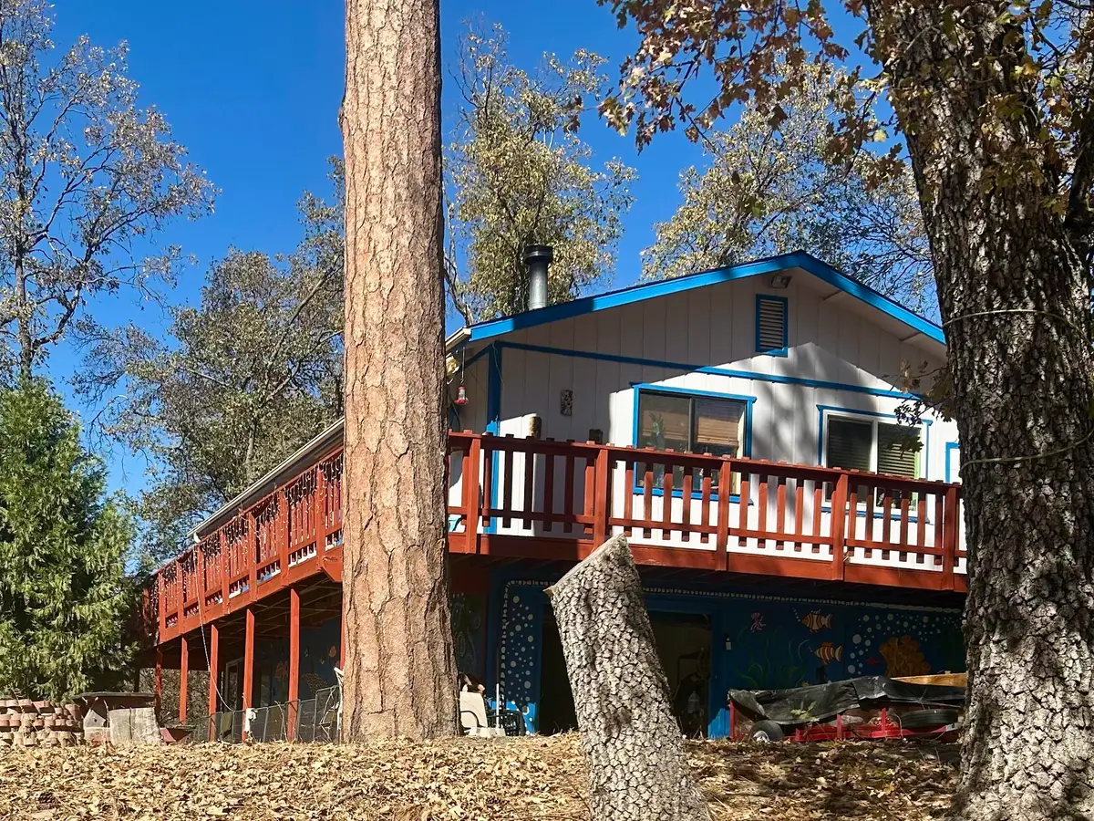 44202 Pine Flat Drive, California Hot Springs, CA 93207 - #1