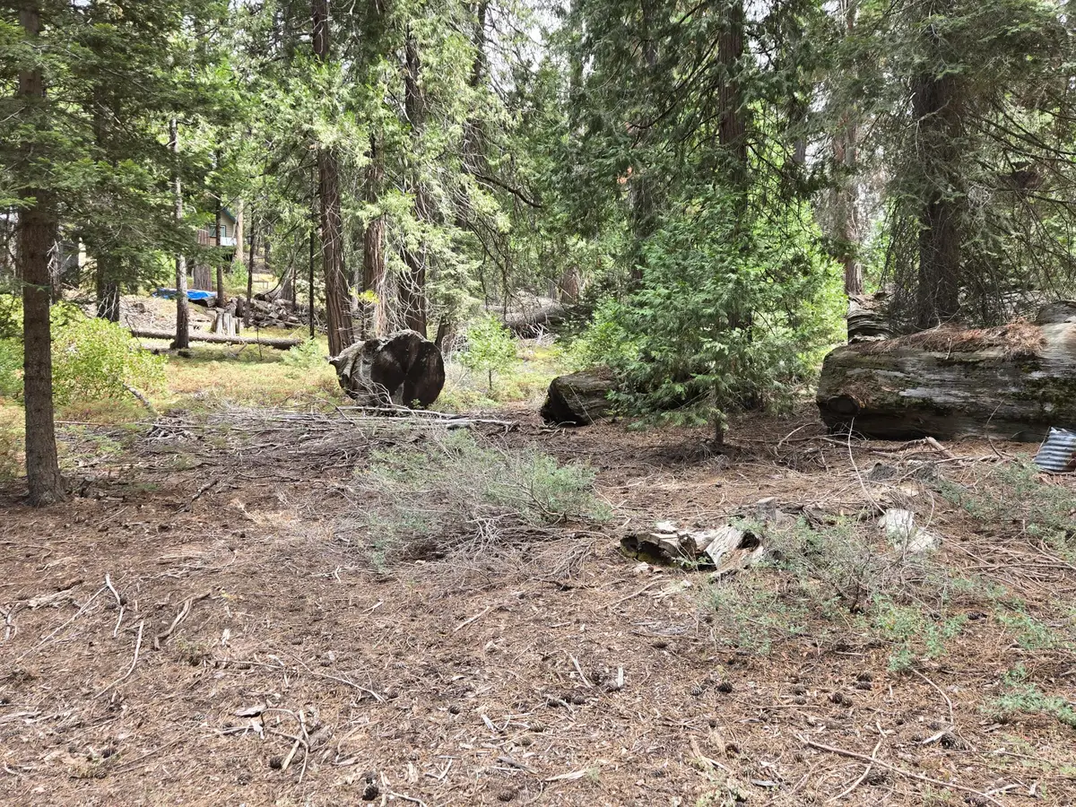Lot 24 SE Mountain Aire, Springville, CA 93265 - #1