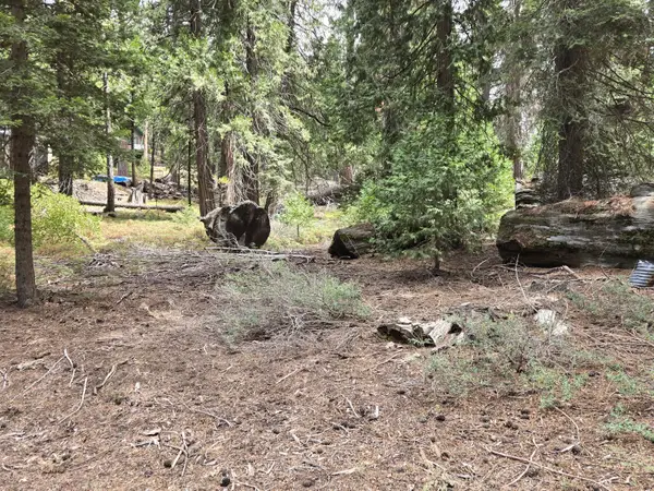 Lot 24 SE Mountain Aire, Springville, CA 93265