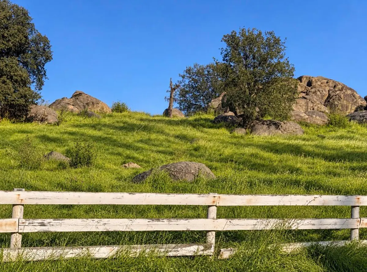 16988 Coyote Drive, Springville, CA 93265 - #1