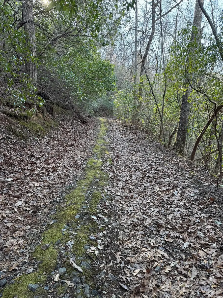 Lot #41 S Country Club Drive #41, Cullowhee, NC 28723 - Image #3