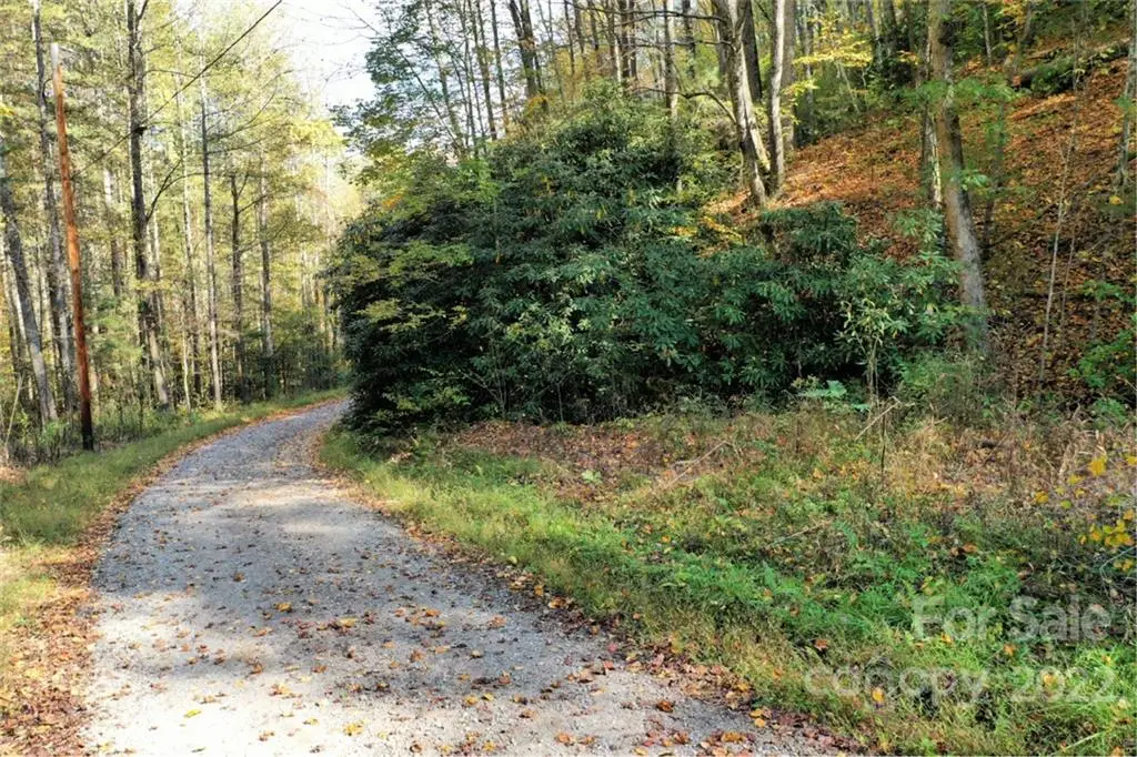 VL40 Mountain Forest Estates None #40, Sylva, NC 28779 - #1