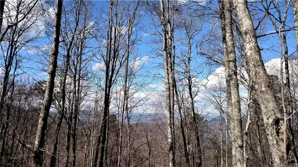 Lot 6 Section 2 Raven Crest Lane, Whittier, NC 28789