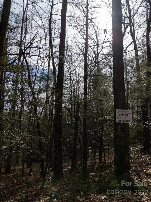 000 Dogwood Drive #E7, Penrose, NC 28766