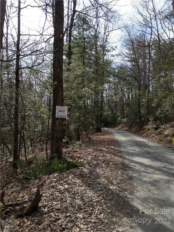 000 Dogwood Drive #E7, Penrose, NC 28766 - Image #3