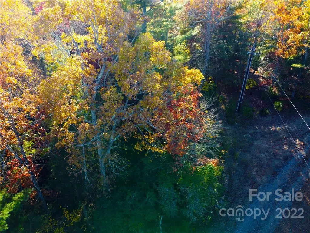 000 Emma Bri Lane #F9, Hendersonville, NC 28739 - Image #1