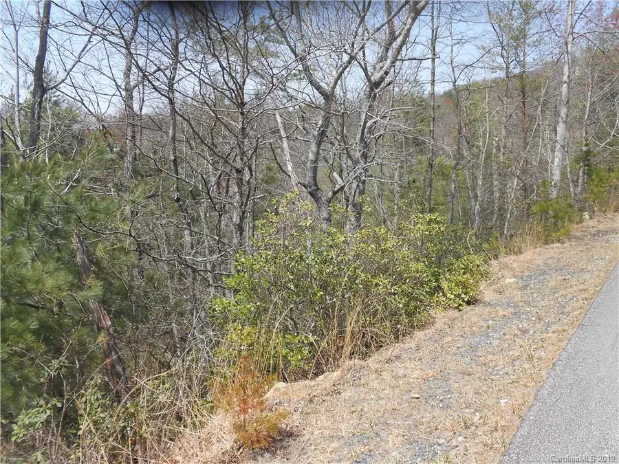 Lot 27 Linville Drive, Marion, NC 28752 - Image #3
