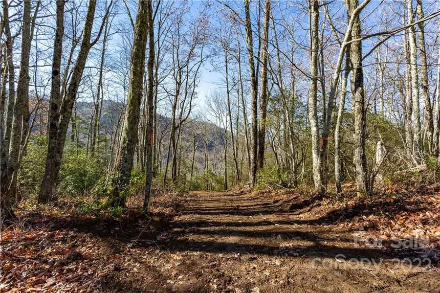 Lot 81 Shangri Lane #81, Qualla, NC 28719 - Image #3