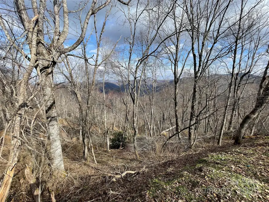 Lot #39 Ridge Top Circle, Clyde, NC 28721 - Image #3