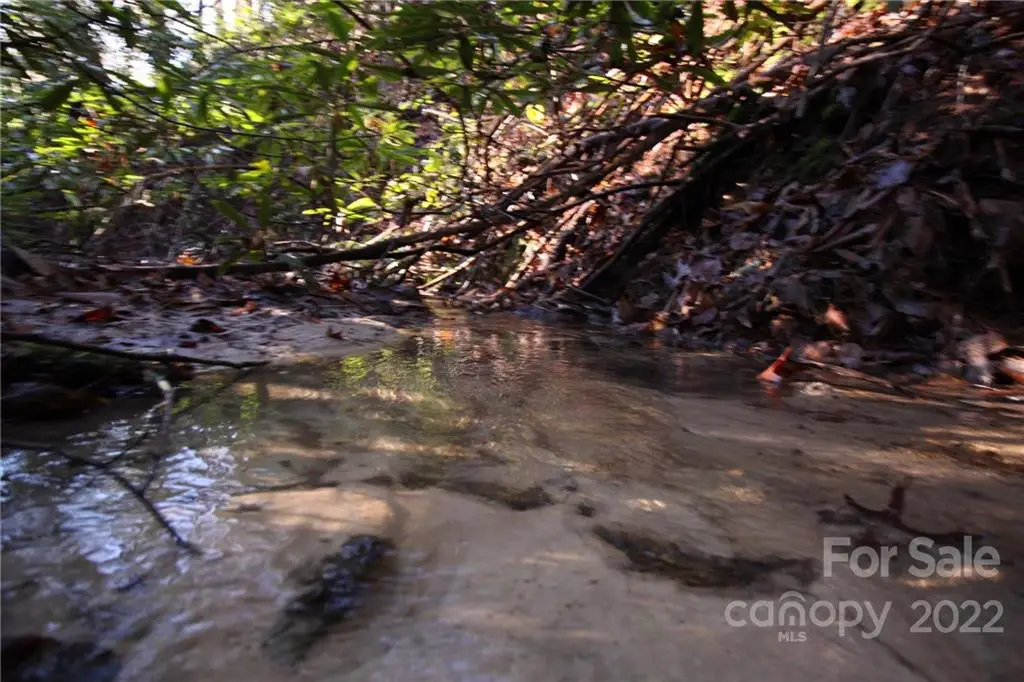 Lot 19 Gastons Bee Gum Road #19, Brevard, NC 28712 - Image #1