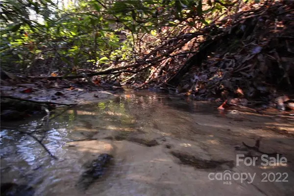 Lot 19 Gastons Bee Gum Road #19, Brevard, NC 28712