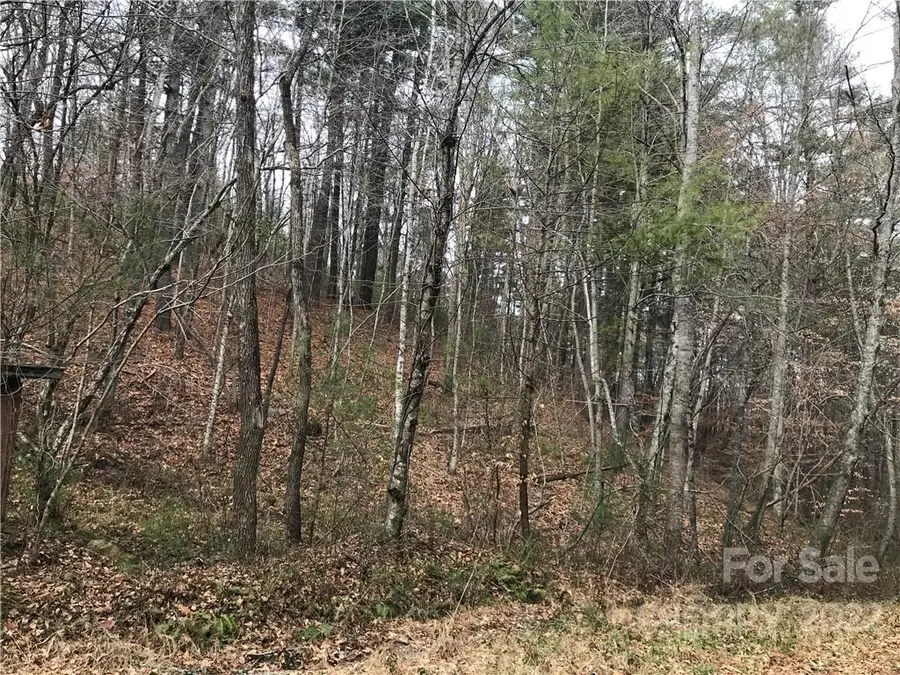 27 Eller Hollow Road, Weaverville, NC 28787 - #2