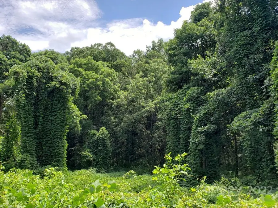 548 Caribou Road, Asheville, NC 28803 - Image #3