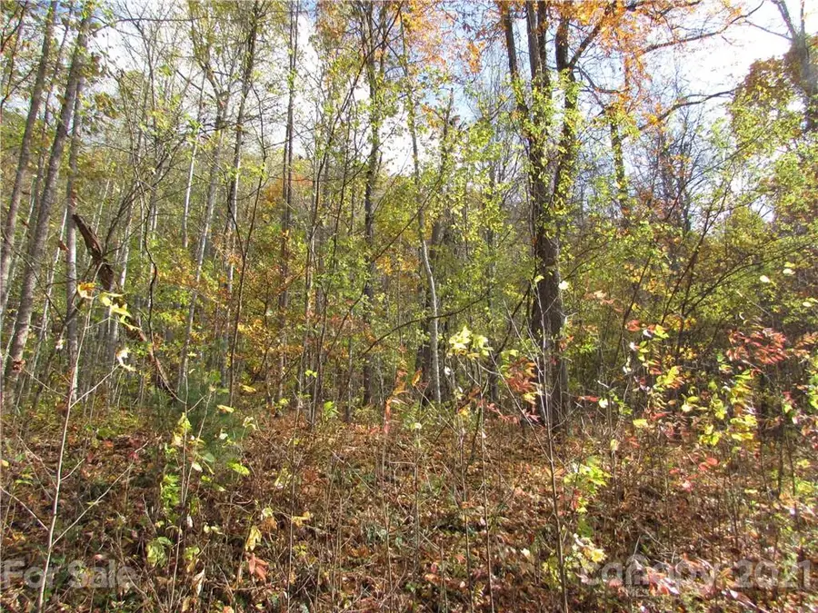 E- 6 Red Wolf Run None, Mars Hill, NC 28754 - Image #2