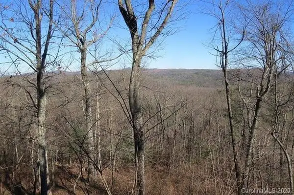 212 W Chestnut Ridges Road, Hendersonville, NC 28739