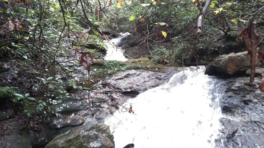 0 Hardin Store Road, Rutherfordton, NC 28139 - Image #2