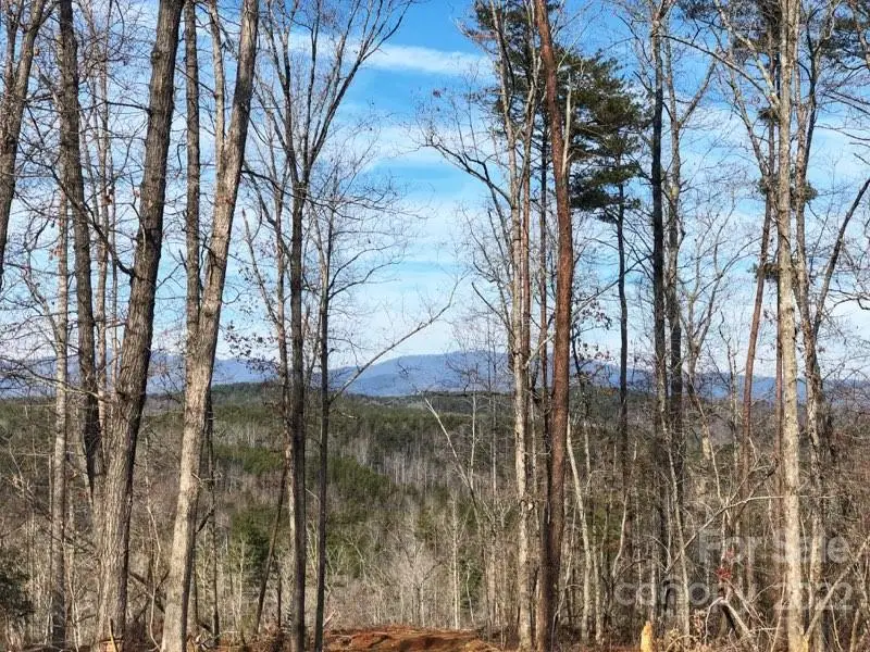 0 Hardin Store Road, Rutherfordton, NC 28139 - Image #3