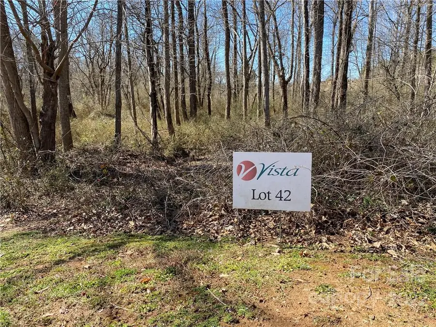 000 Bridge Lane #42, Tryon, NC 28782 - Image #2