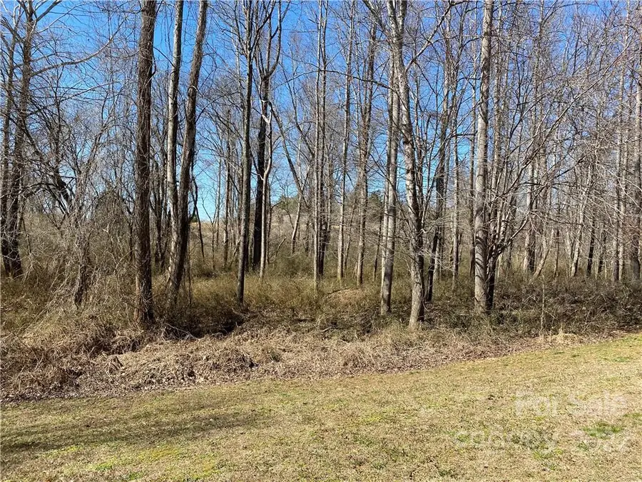 000 Bridge Lane #42, Tryon, NC 28782 - Image #3