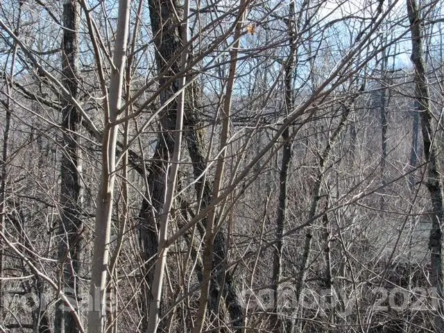 TBD Cahill Court, Burnsville, NC 28714 - Image #2