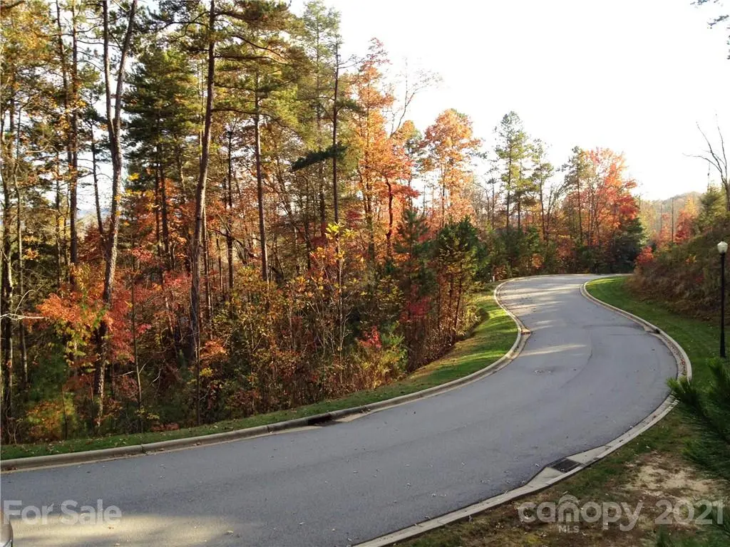 Upper Camptown Road #M110, Brevard, NC 28712 - Image #1