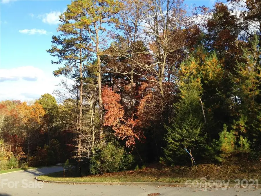 Upper Camptown Road #M110, Brevard, NC 28712 - Image #2