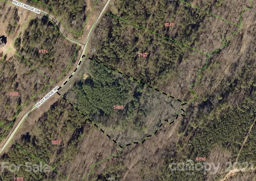 316 Pilot Ridge Road #11, Nebo, NC 28761 - Image #1