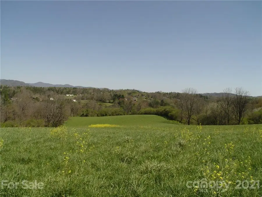 1293 Bear Creek Road, Leicester, NC 28748 - Image #2