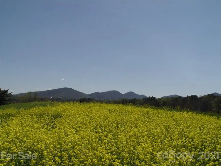 1293 Bear Creek Road, Leicester, NC 28748 - Image #3