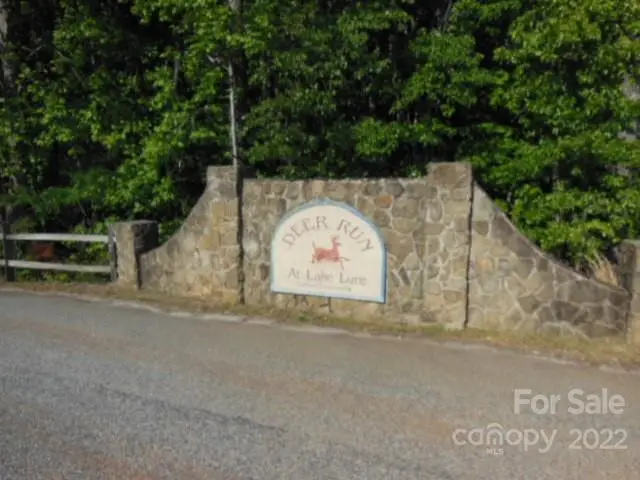 9 and 10 Grassy Knob Road #9 and 10, Rutherfordton, NC 28139 - #2