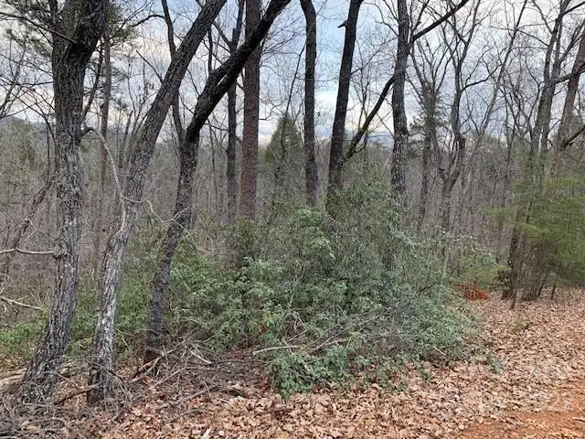 301 Otter Lane #301, Lake Lure, NC 28746 - Image #2